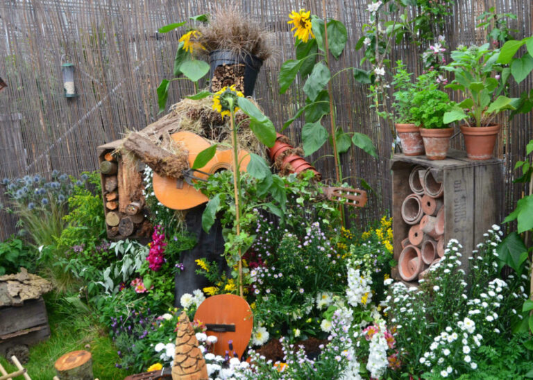 bloom-open-day-wildlife-garden-1024x730