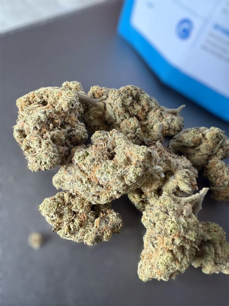 Photoroom_20251025_133122